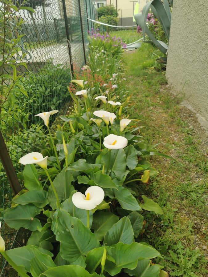 Grandma'S Garden House Villa Angera Exterior photo