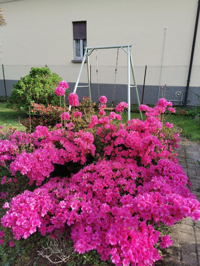 Grandma'S Garden House Villa Angera Exterior photo